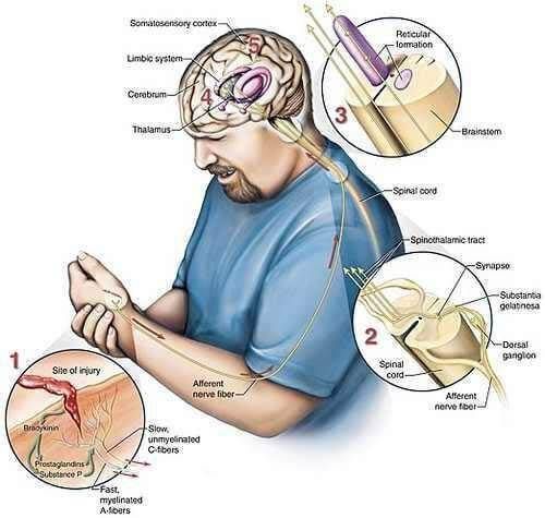 SDRC – A história de Bianca Medeiros